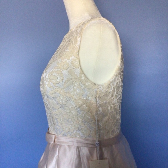 A Line Empire Waist Floor Length Satin Dress with Lace Bodice: the perfect 👗! - Picture 7 of 11